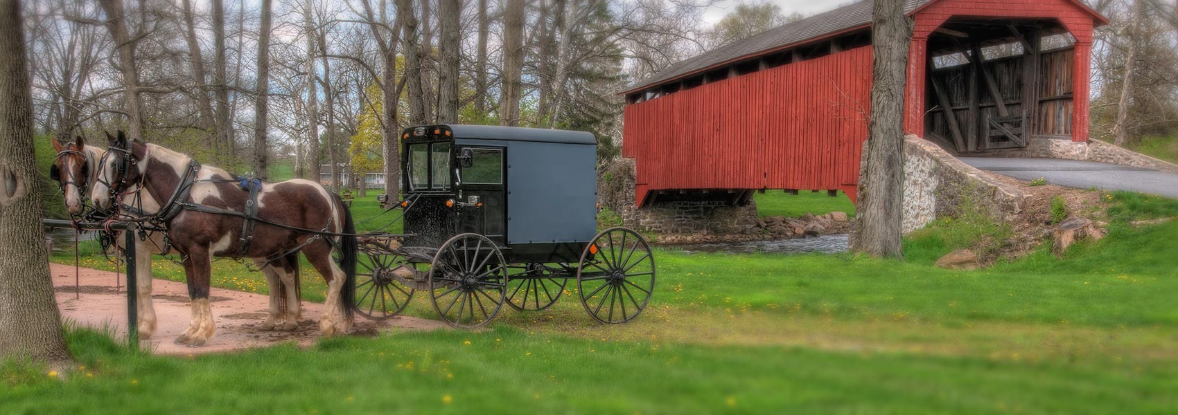 Covered bridge and horse carriage